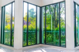 Pecosy ventanas