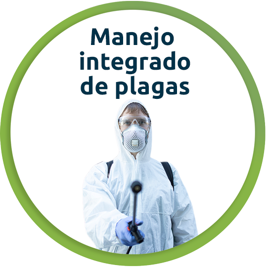 manejo integrado de plagas